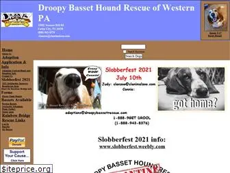 droopybassetrescue.com