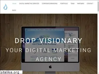 dropvisionarymarketing.com