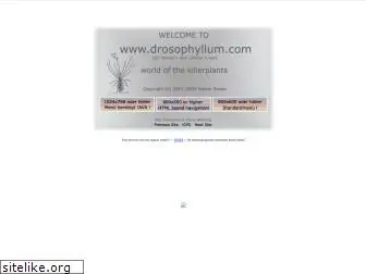 drosophyllum.com