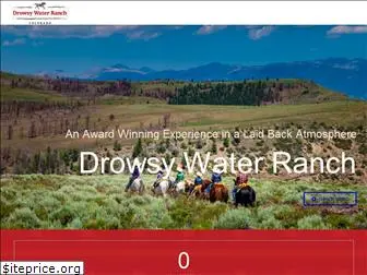 drowsywater.com