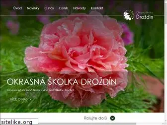 drozdin.cz