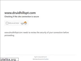 druidhillspt.com