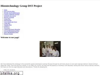 dstgroupproject.weebly.com