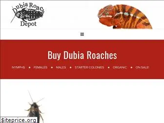 dubiaroachdepot.com