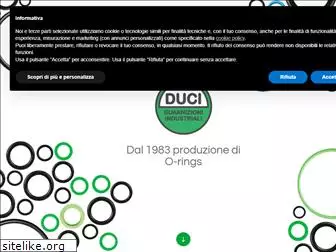 duciguarnizioni.com