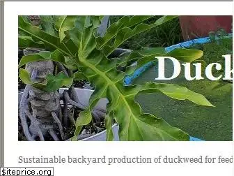 duckweedgardening.com