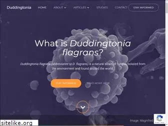 duddingtonia.com