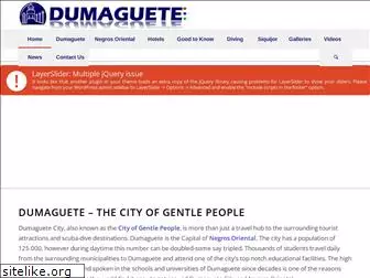 dumagueteinfo-net-service.com