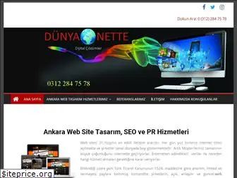 dunyanette.com