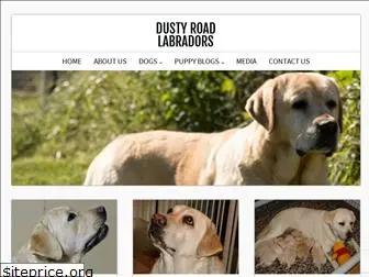 dustyroadlabradors.com