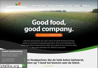 dvgroup.nl