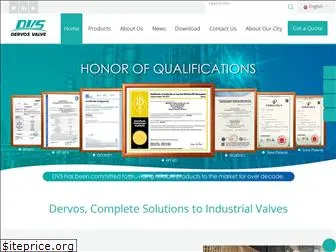 dvsvalve.com