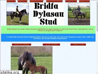 dylasau.com