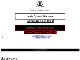 dynamicbits.com