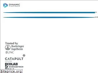 dynamicvideocasting.com