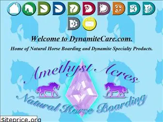 dynamitecare.com