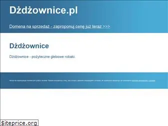 dzdzownice.pl