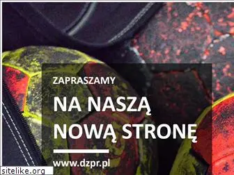 dzpr.eu