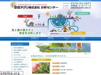 e-bunseki.com