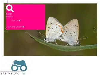 e-butterfly.org