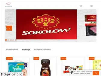 e-skowronek.pl