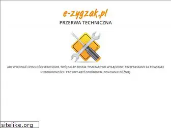 e-zygzak.pl