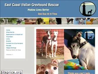 eastcoastigrescue.org