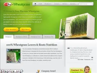 www.easy-wheatgrass.com