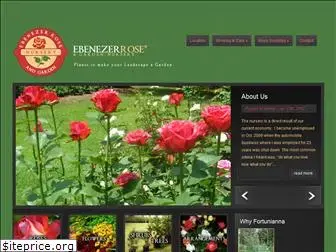 ebenezerrose.com