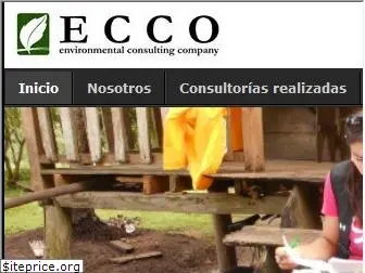 eccoconsulting.com