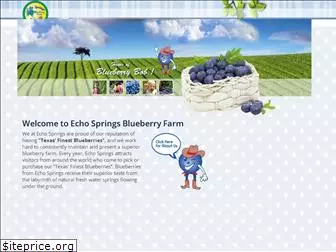 echospringsblueberryfarm.com