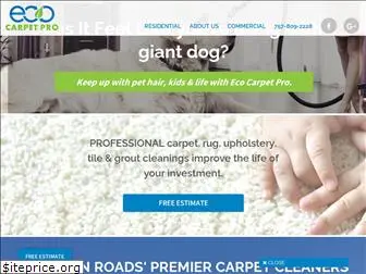 ecocarpetpro.com