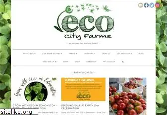 ecoffshoots.org