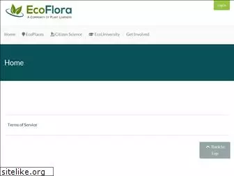 www.ecoflora.org