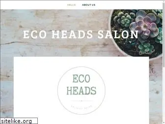 ecoheadssalon.com
