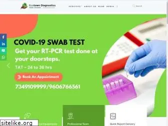 ecotowndiagnostics.com