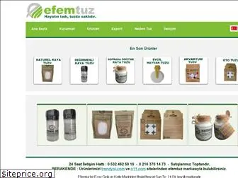 efemtuz.com