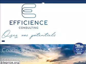 efficience-consulting.com