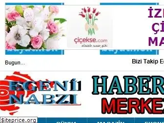 egeninnabzi.com