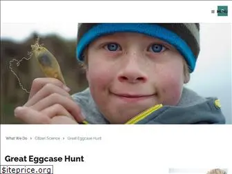 eggcase.org