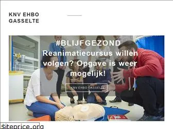 ehbogasselte.nl