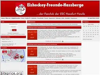 eishockeyfreunde-hassberge.de