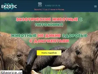 ekzoticzoo.ru