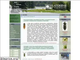 elateridae.com