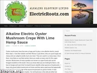 electricrootz.com