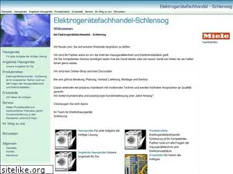 elektro-schlensog.de