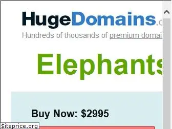 elephantsandants.com