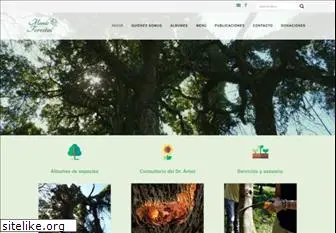 elmundoforestal.com