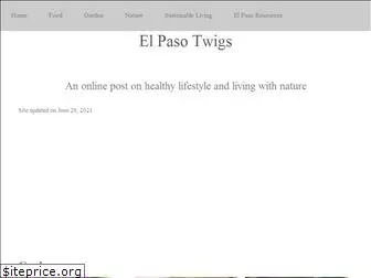 elpasotwigs.com