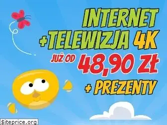 elsat.net.pl